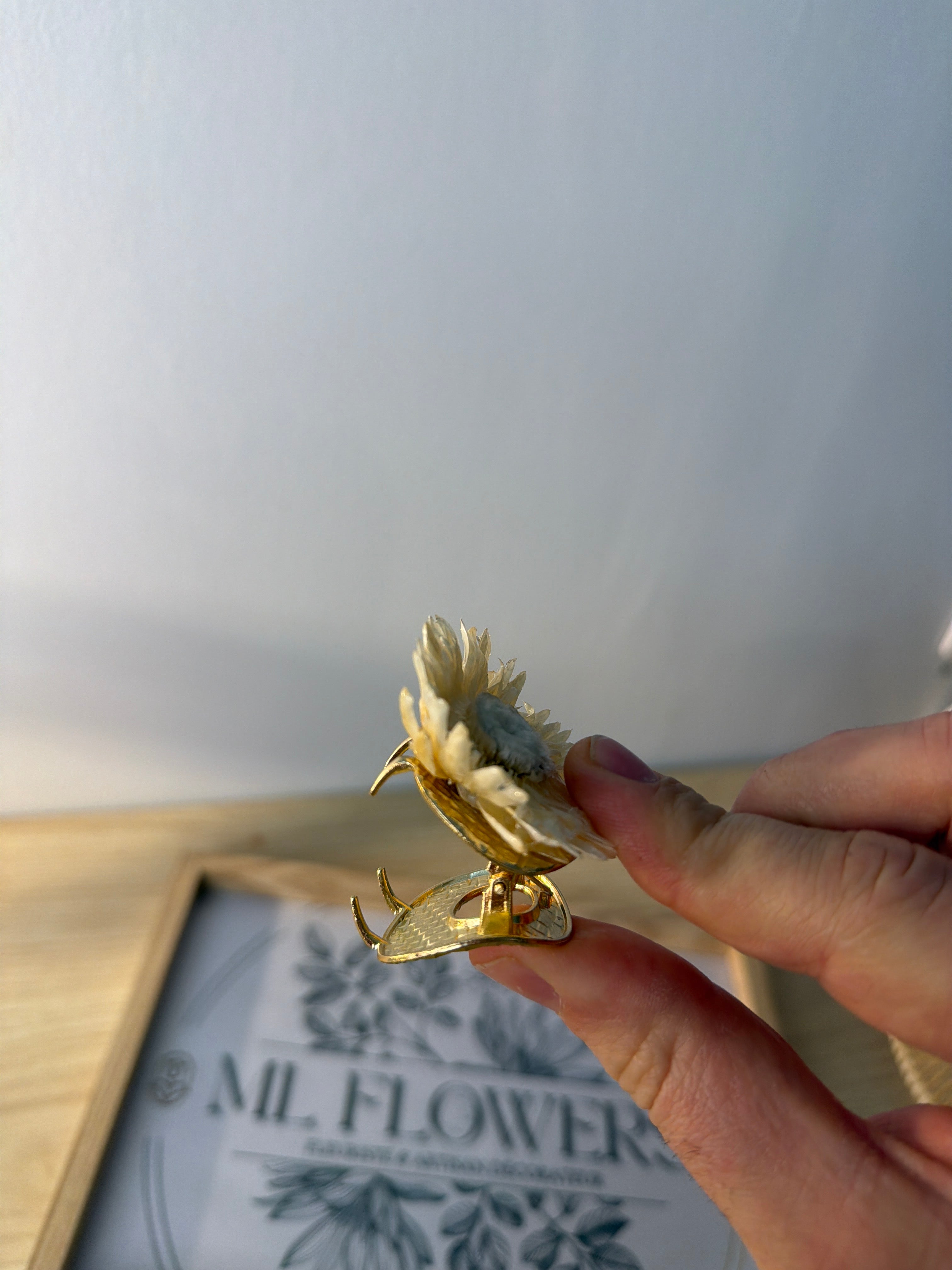 Magnifique pince fleurs séchées en résine